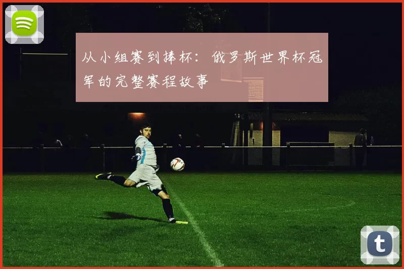 从小组赛到捧杯:俄罗斯世界杯冠军的完整赛程故事