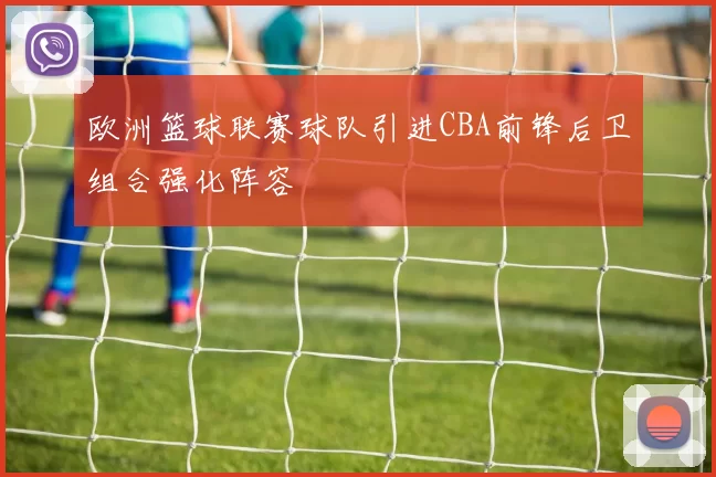 欧洲篮球联赛球队引进CBA前锋后卫组合强化阵容