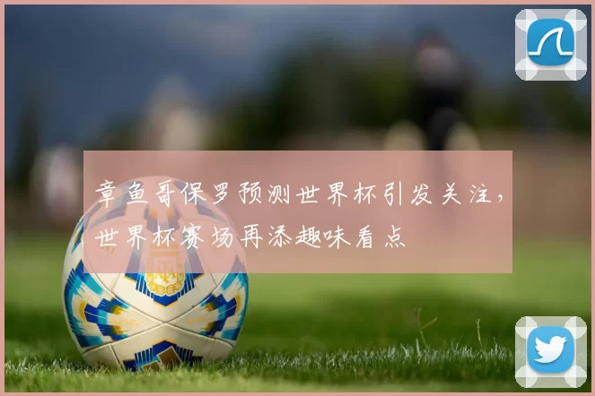 章鱼哥保罗预测世界杯引发关注，世界杯赛场再添趣味看点