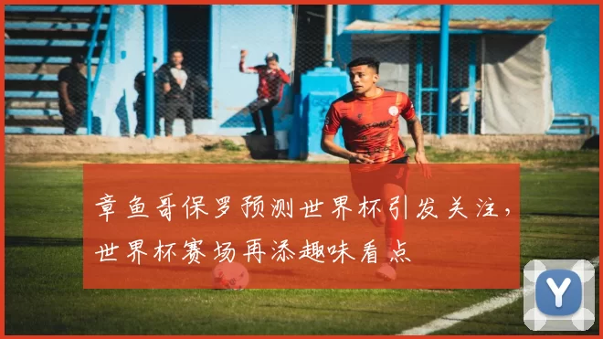章鱼哥保罗预测世界杯引发关注，世界杯赛场再添趣味看点