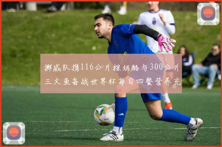 挪威队携116公斤棕奶酪与300公斤三文鱼备战世界杯每日四餐营养充足