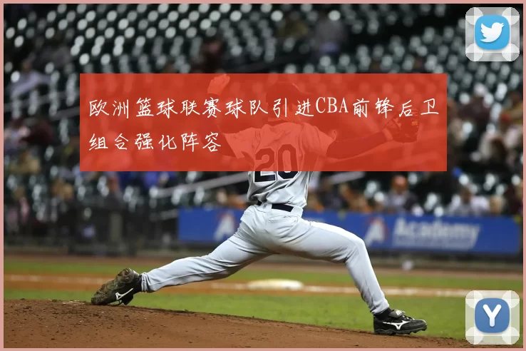 欧洲篮球联赛球队引进CBA前锋后卫组合强化阵容