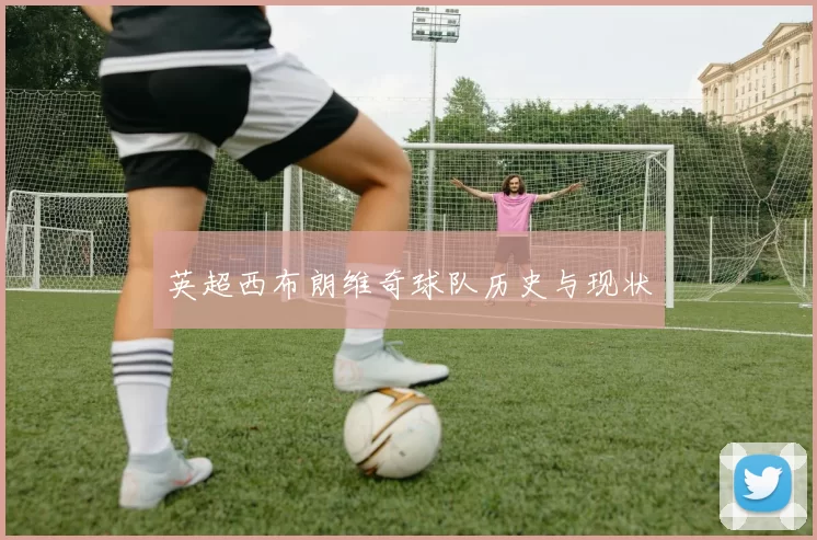 英超西布朗维奇球队历史与现状