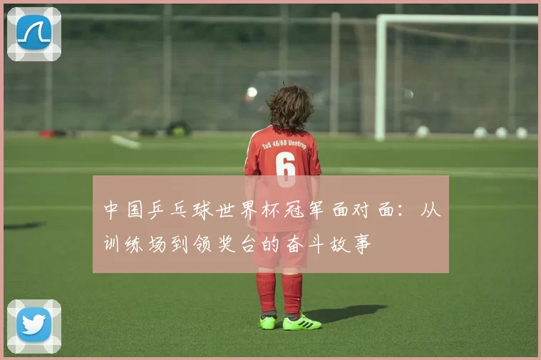 中国乒乓球世界杯冠军面对面：从训练场到领奖台的奋斗故事