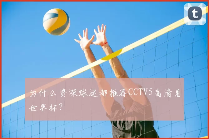 为什么资深球迷都推荐CCTV5高清看世界杯？
