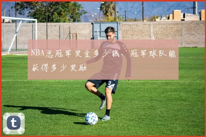 NBA总冠军奖金多少钱，冠军球队能获得多少奖励